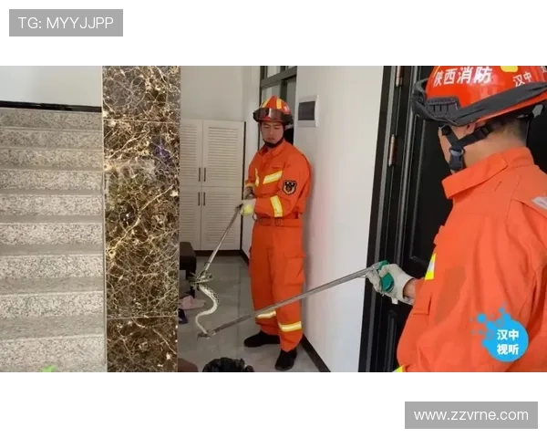 凯发线上官方入口安全保障措施，确保每一位玩家的资金与信息安全